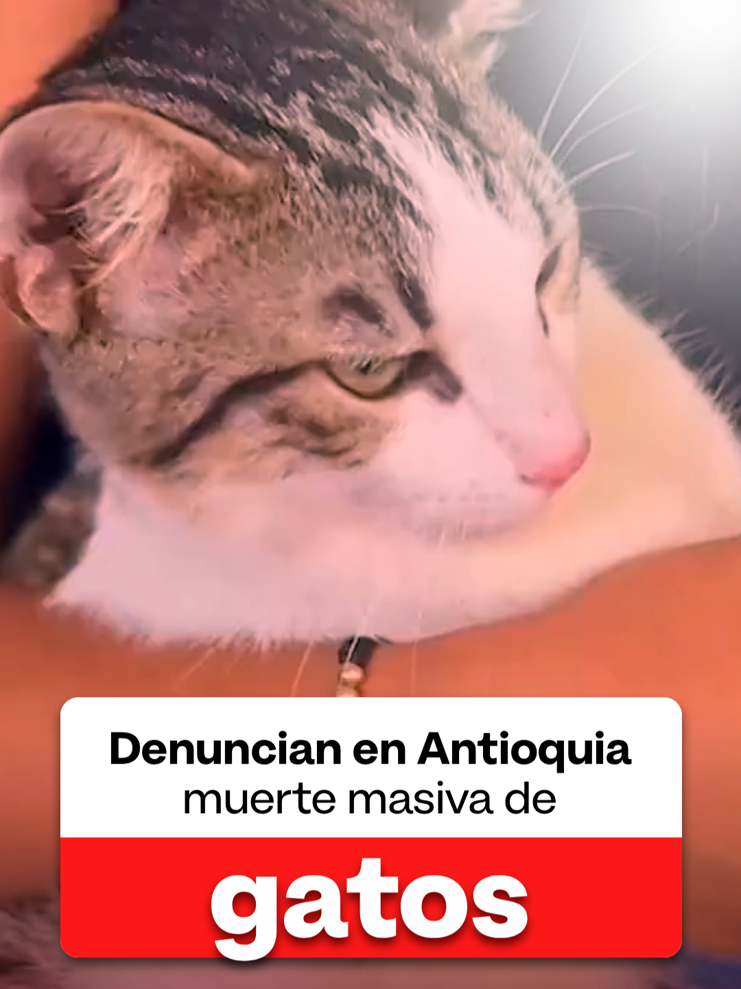 @NoticiasRCN