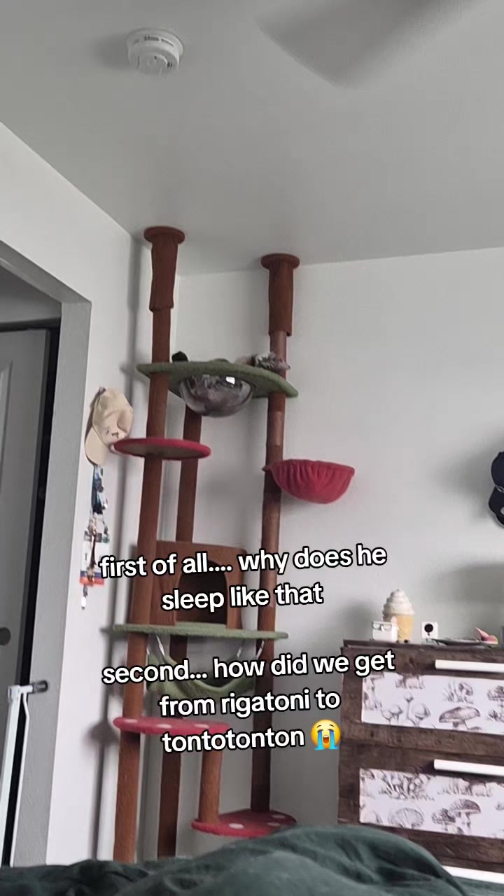 @LizardKing