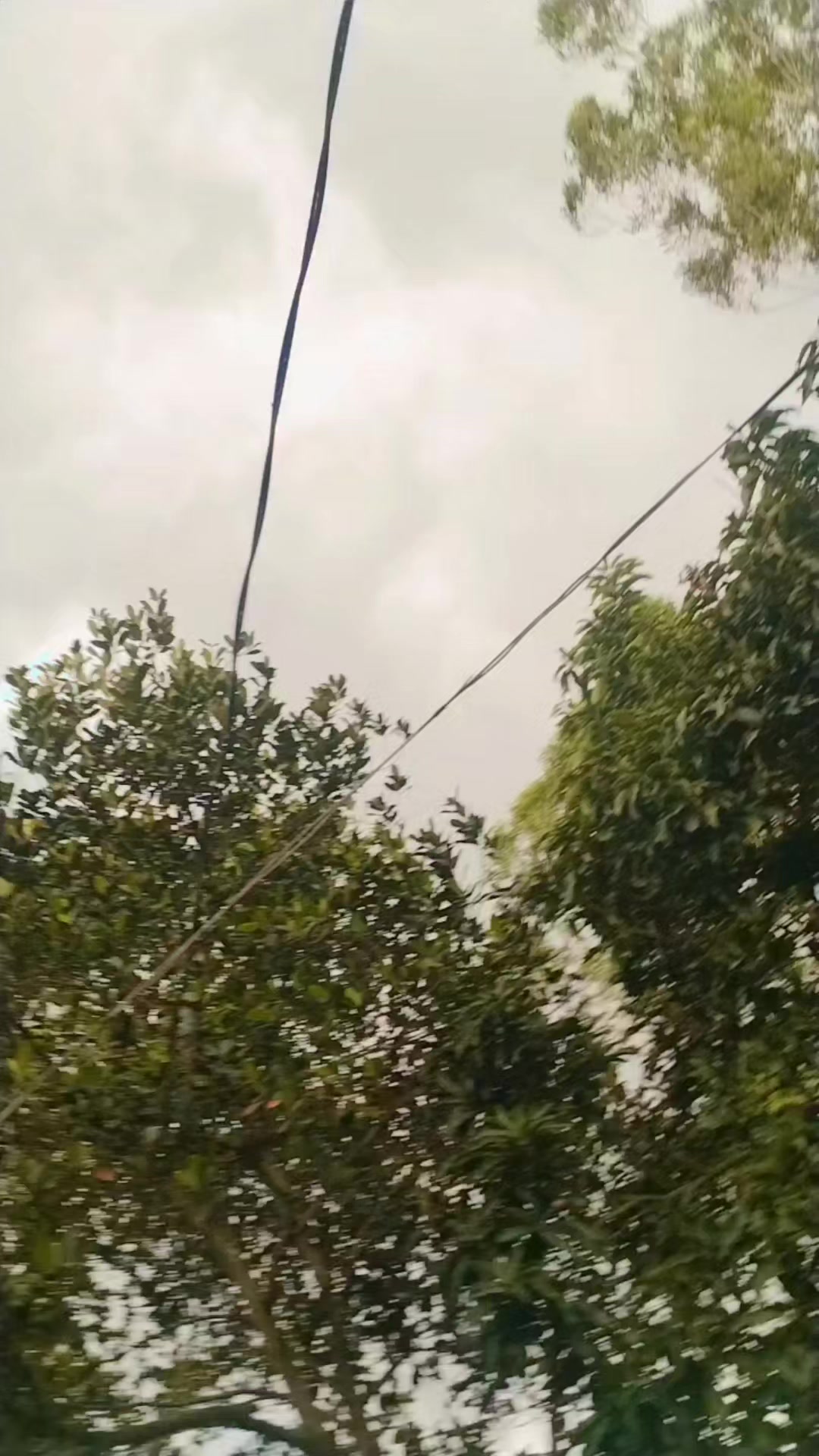 @♥️🧕 সৌদি প্রবাসীর বউ 🇸🇦🧕♥️