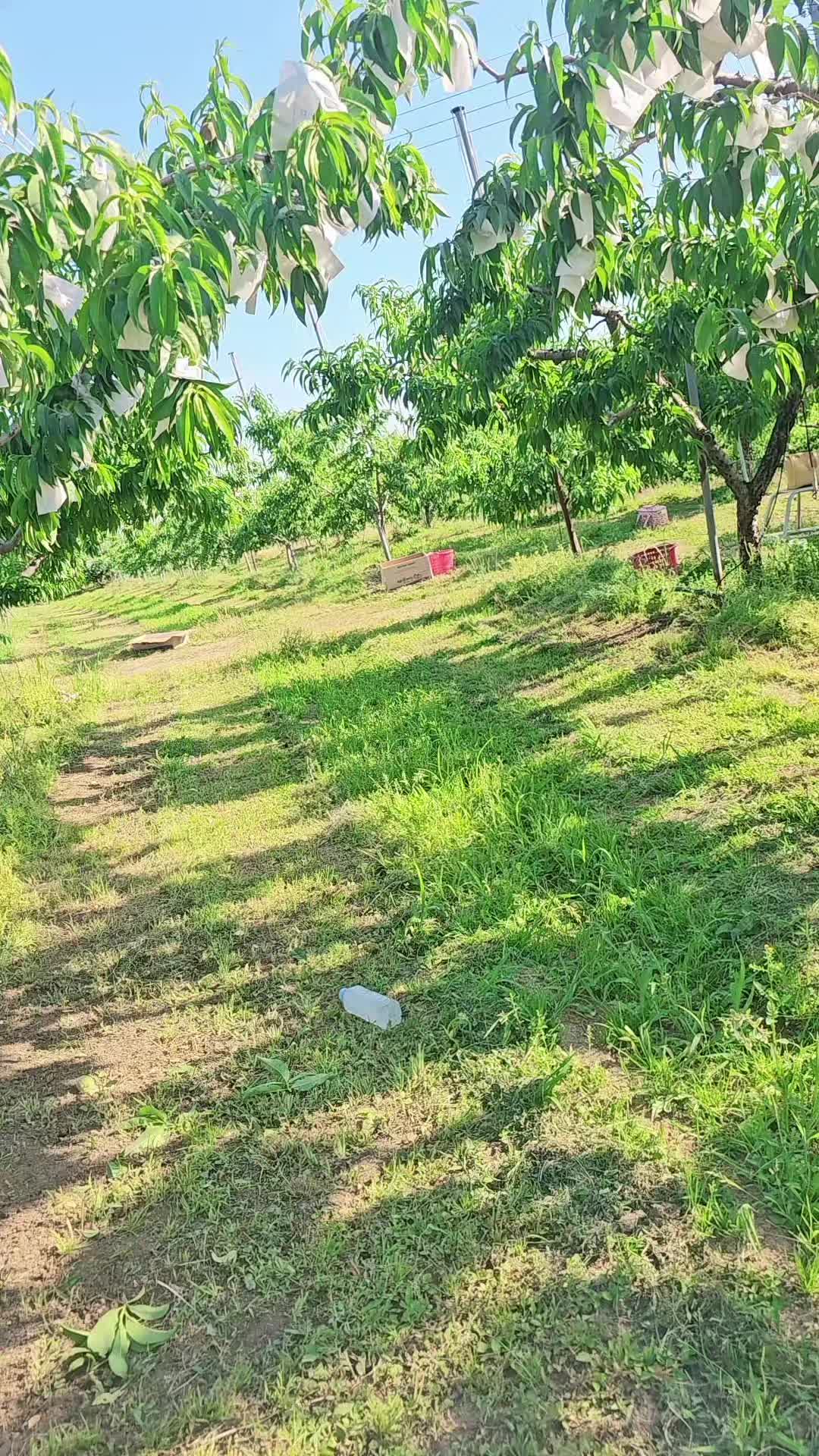 @cố quên tắt cả