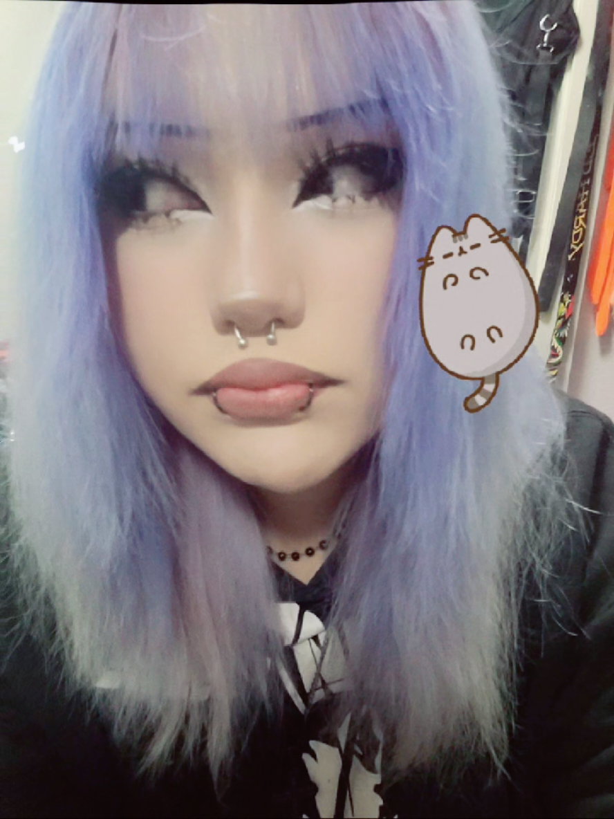 @kitty≽(•⩊ •マ≼