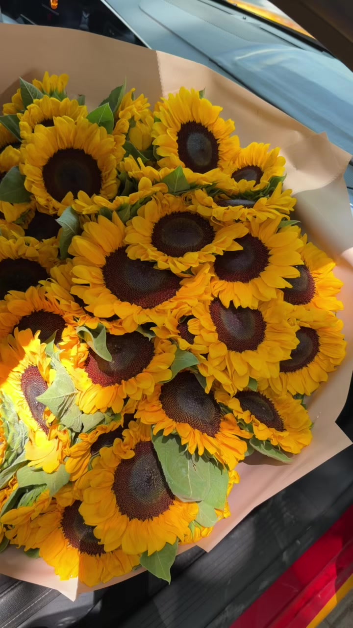 @wowflower.tirana