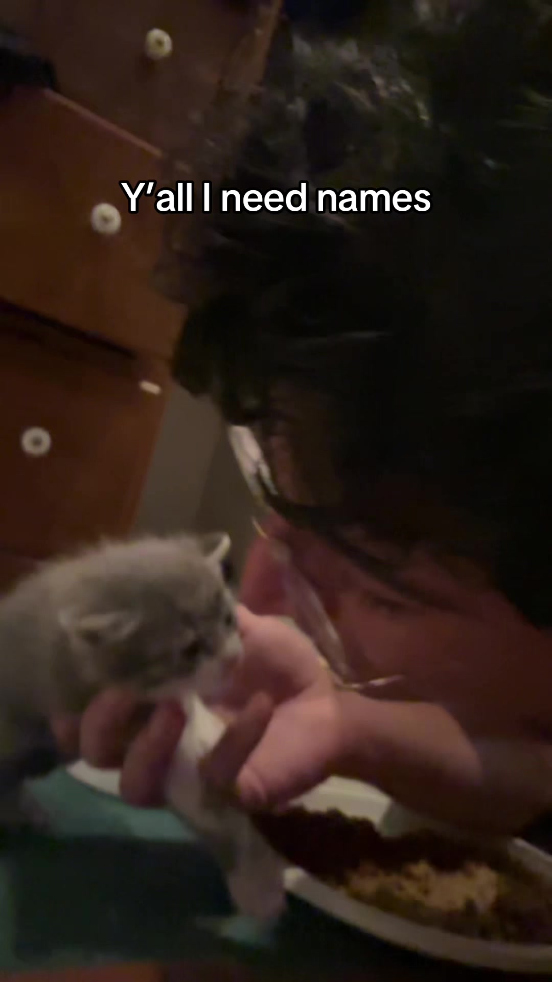 @Hassanwithkittens