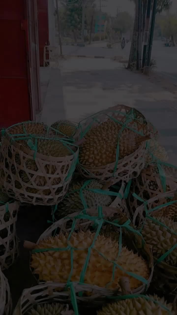 @Kenzhi Durian Tuban