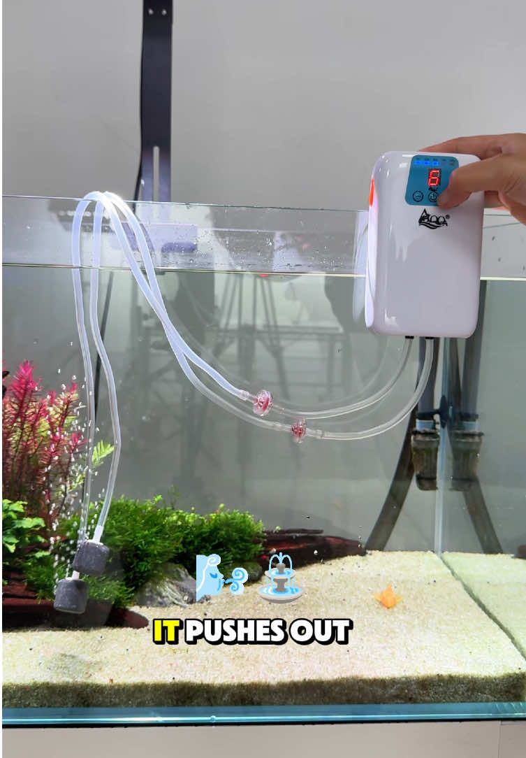 @AQQA Aquarium Store