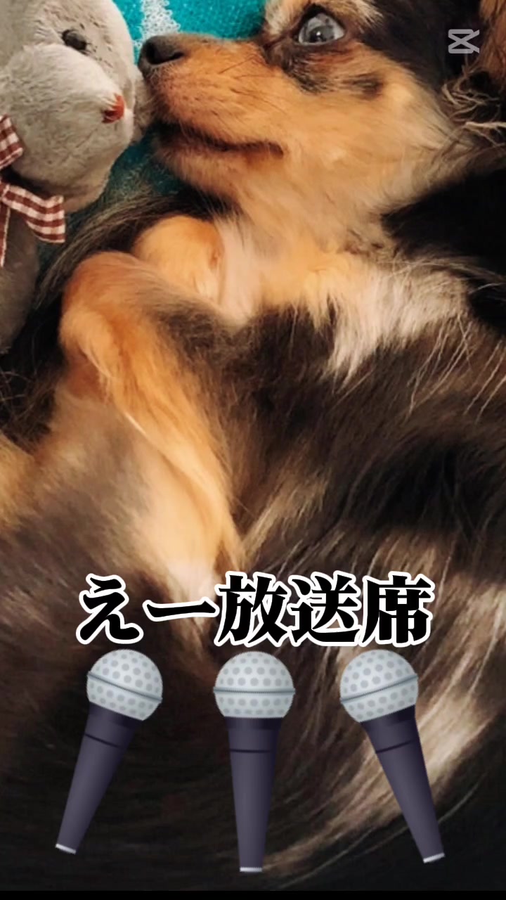 @maokako