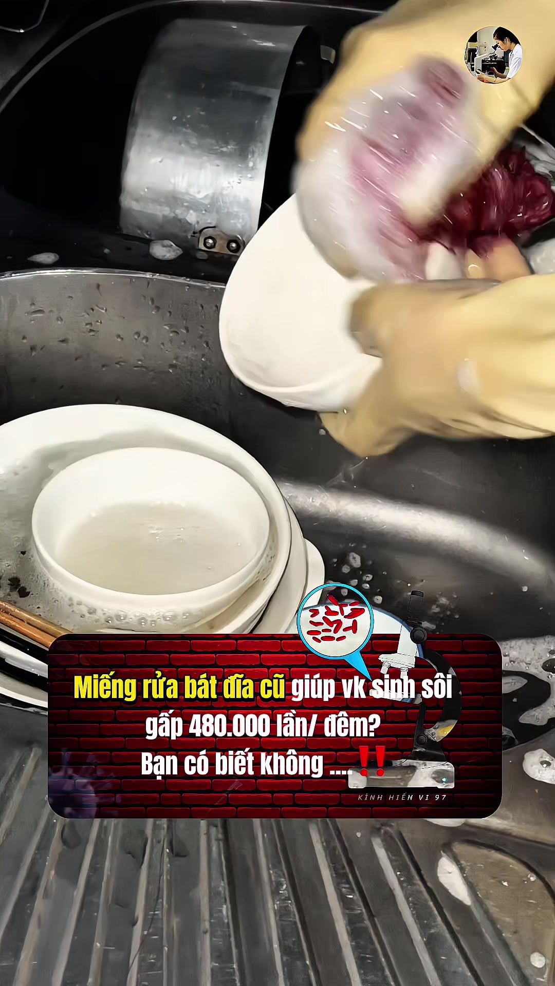 @Kính hiển vi 97