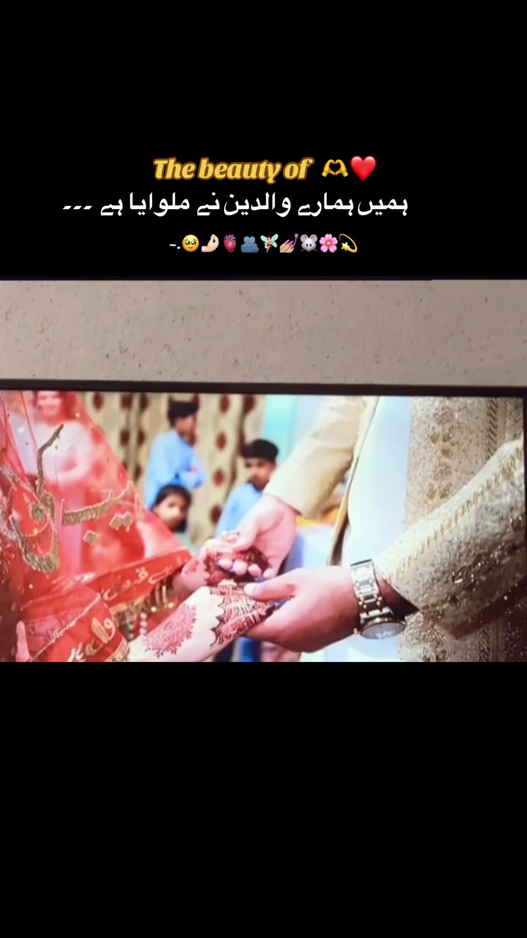 @Noor Zohaib