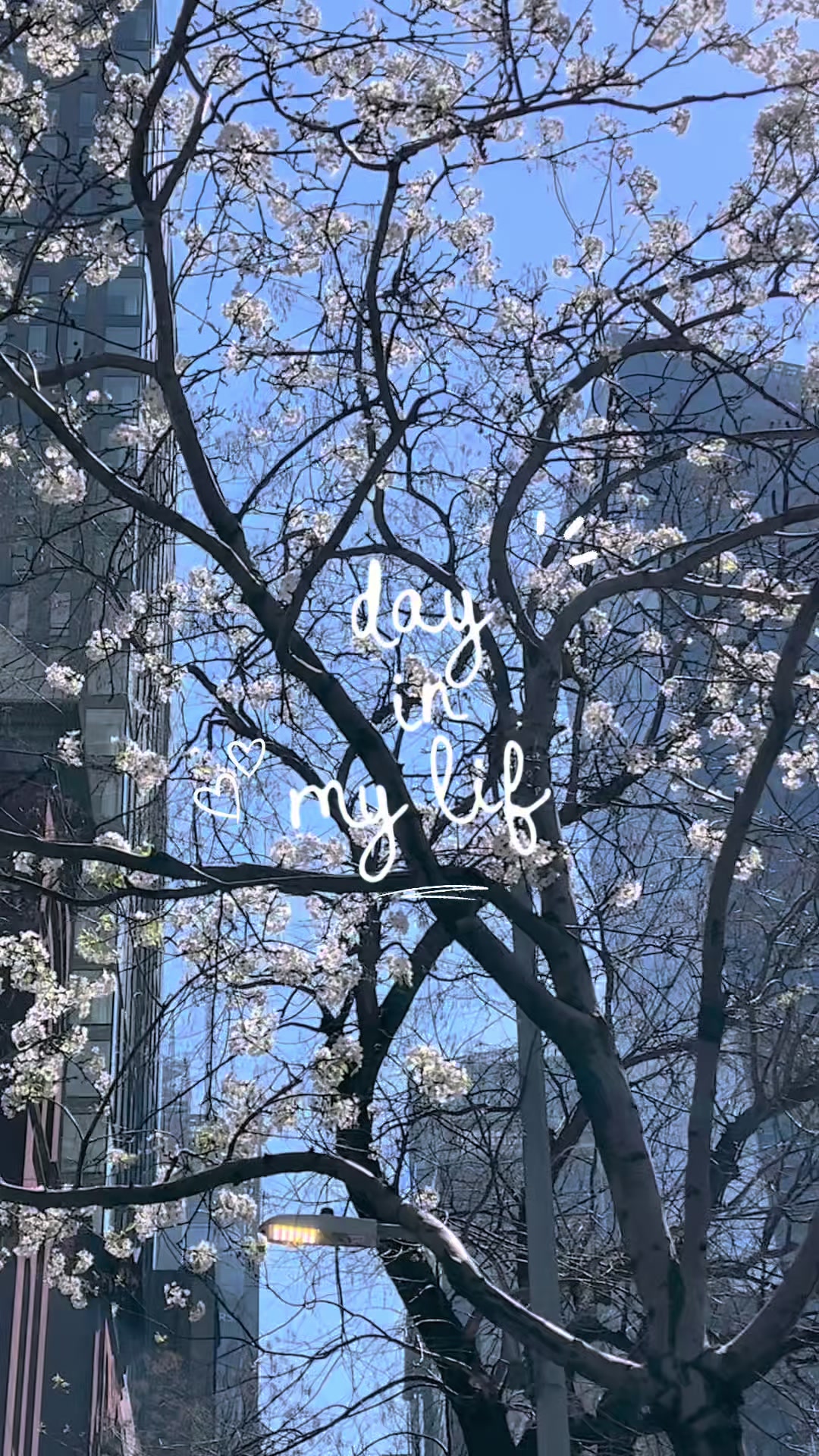 @jieun