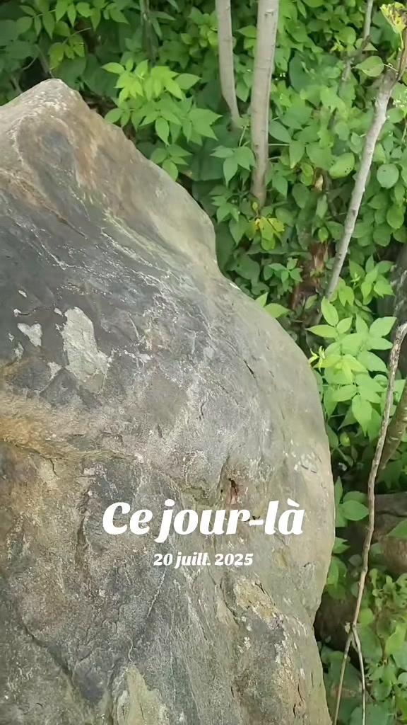 @EL DiC des bois🔥🐔🐓🦌🐏🐐🦌