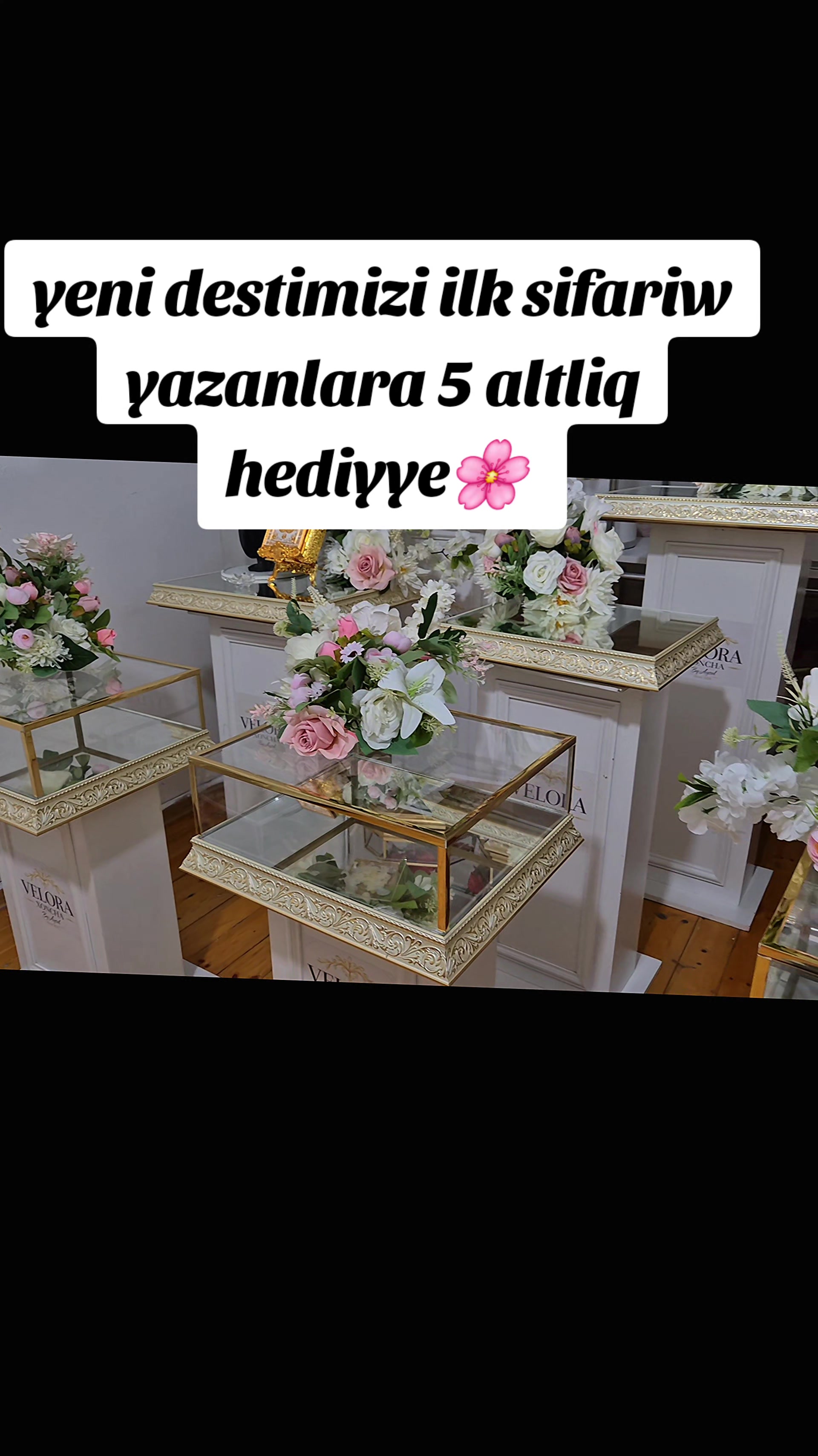 @Velora_Xoncha By Aysel