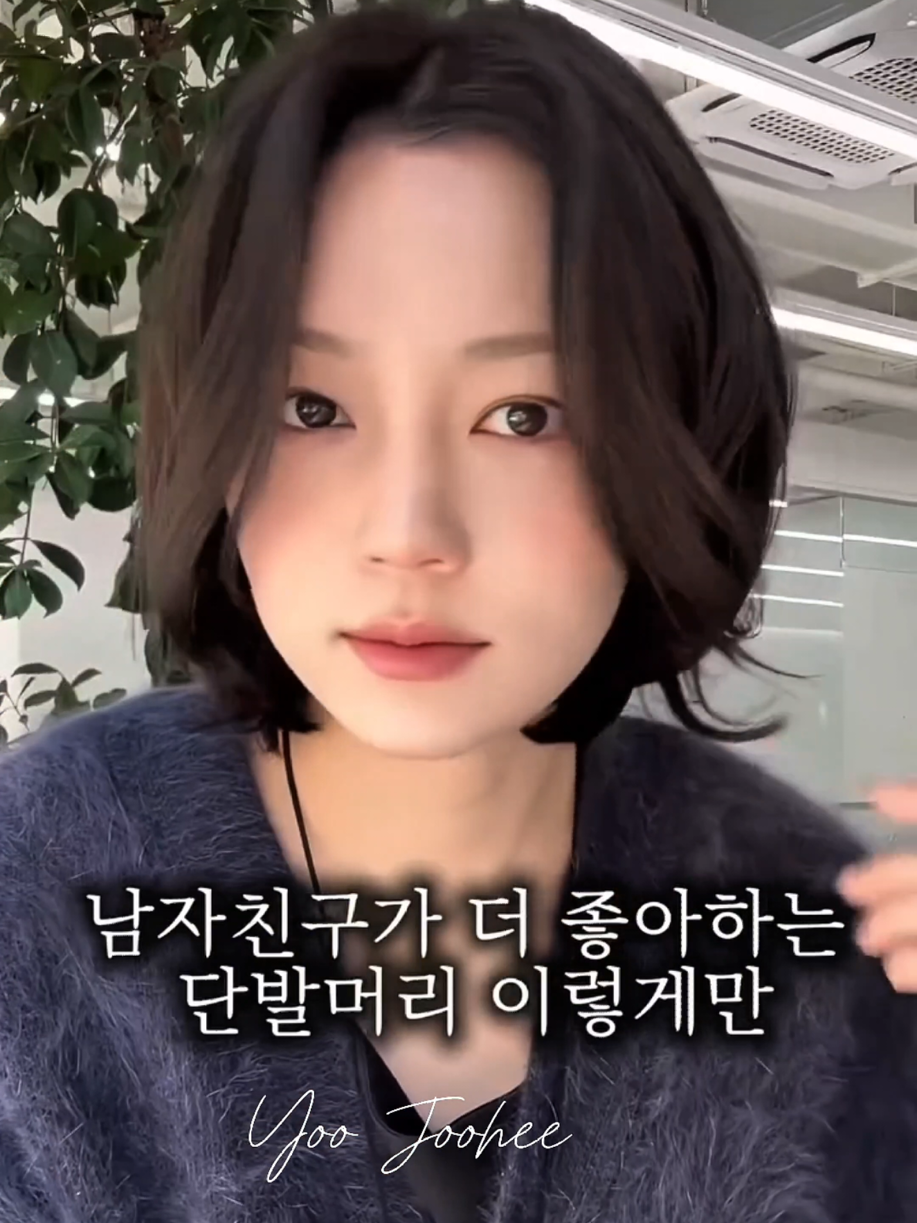 @dandanjinyi