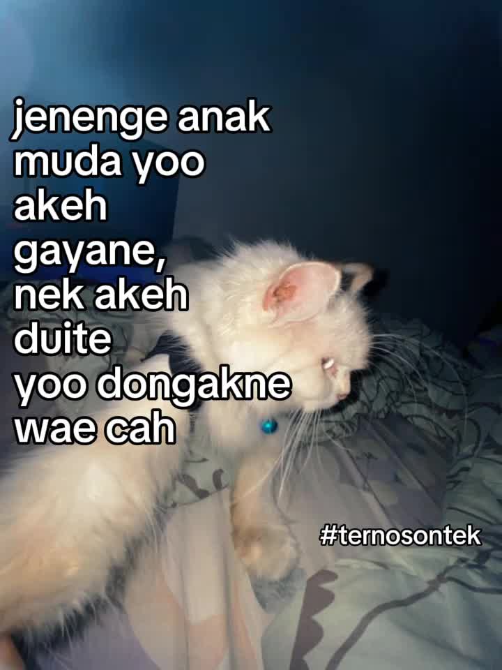 @Andrian☂️
