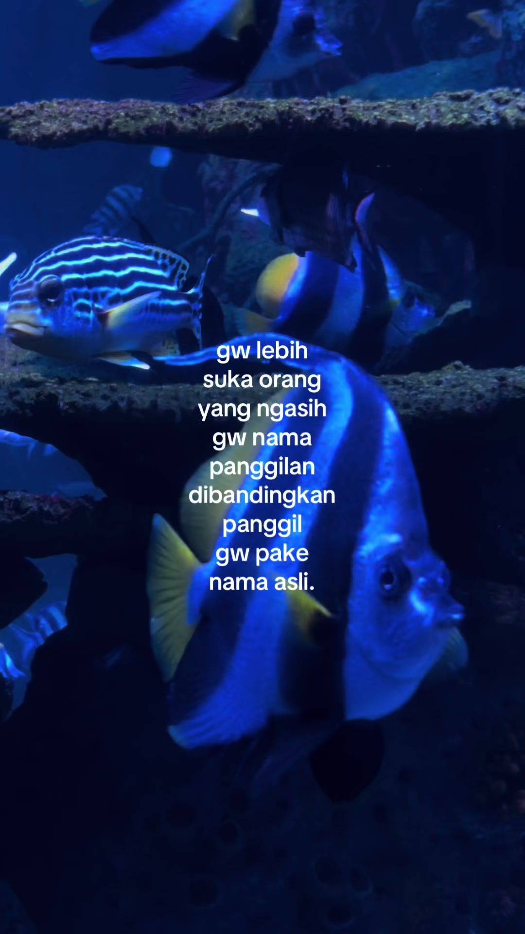 @𝗗𝗶𝗮𝗻𝘆