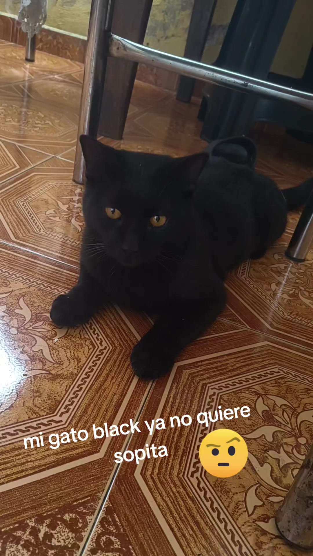 @Alicia