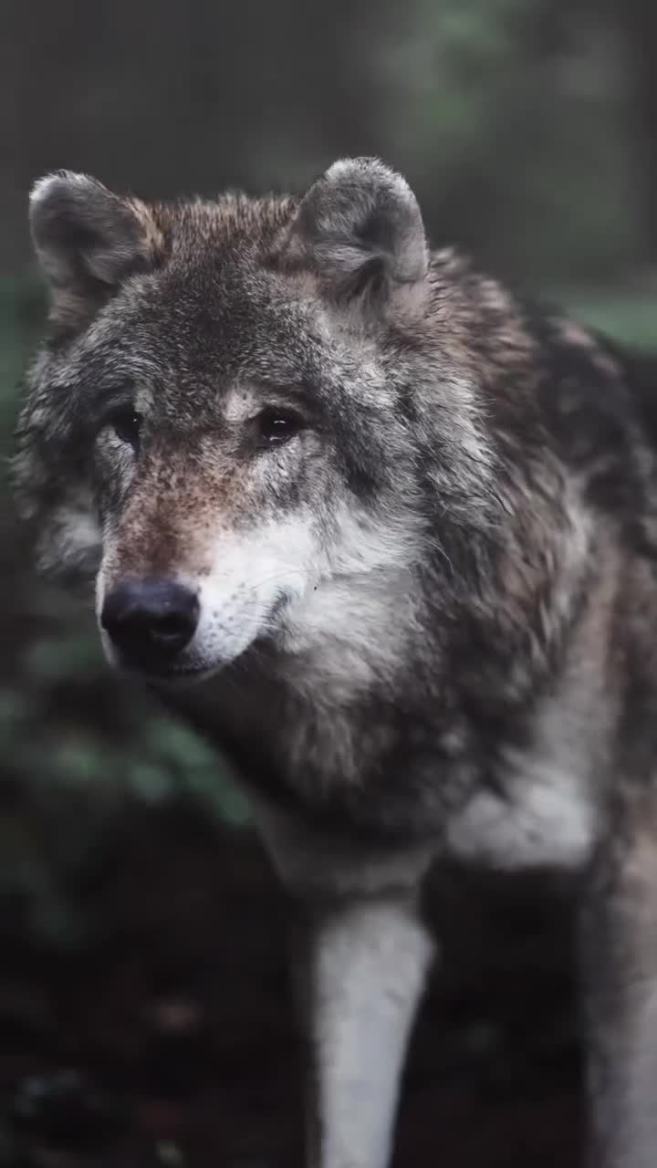 @HAYDAR &Ouml;ZEL