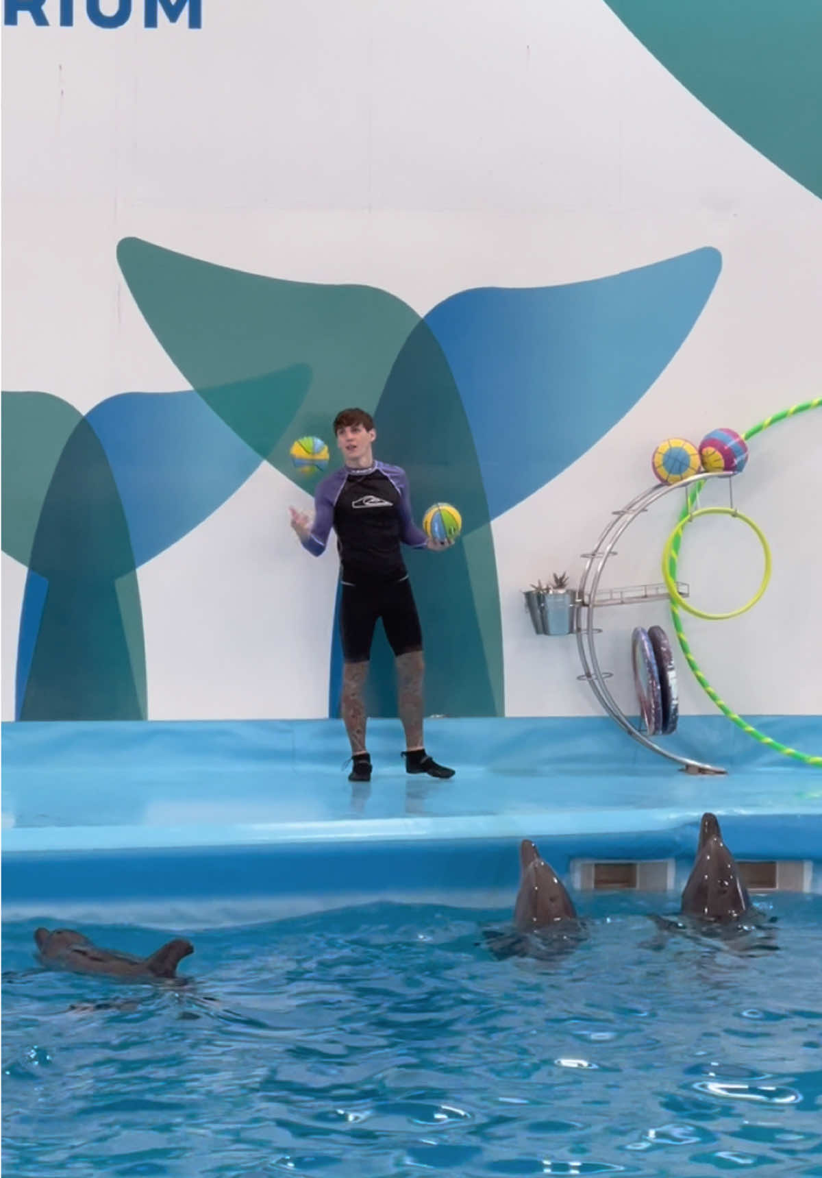 @Pattaya Dolphinarium
