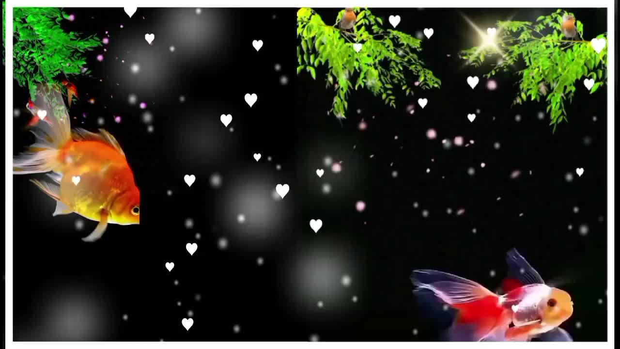 @পিচ্চি পুড়ী
