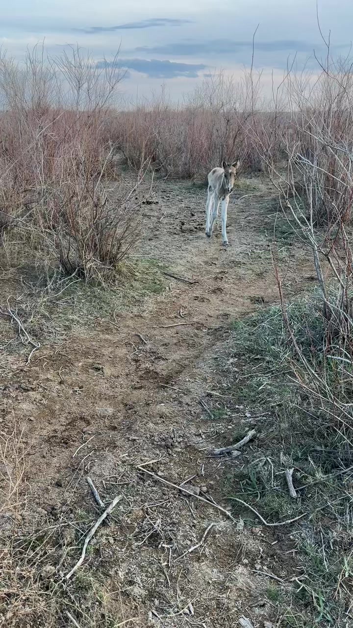 @Наурызбек