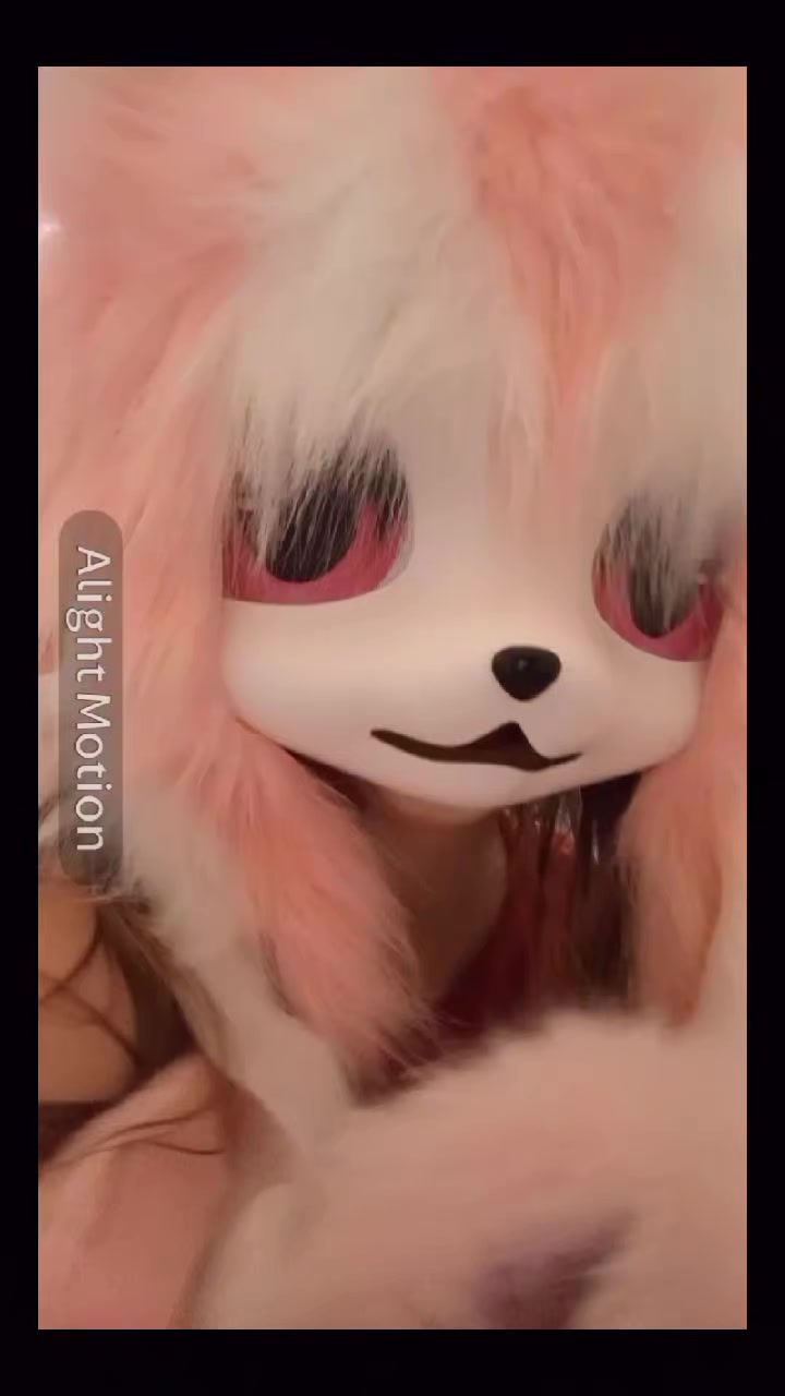@🌸💮.𝕊𝕒𝕜𝕦𝕣𝕒.💮🌸