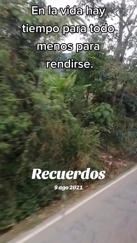 @Guina Maravi Conopum