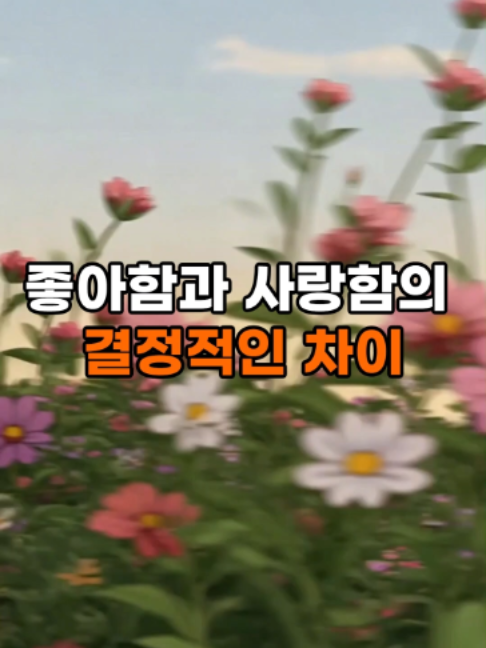 @모모라면