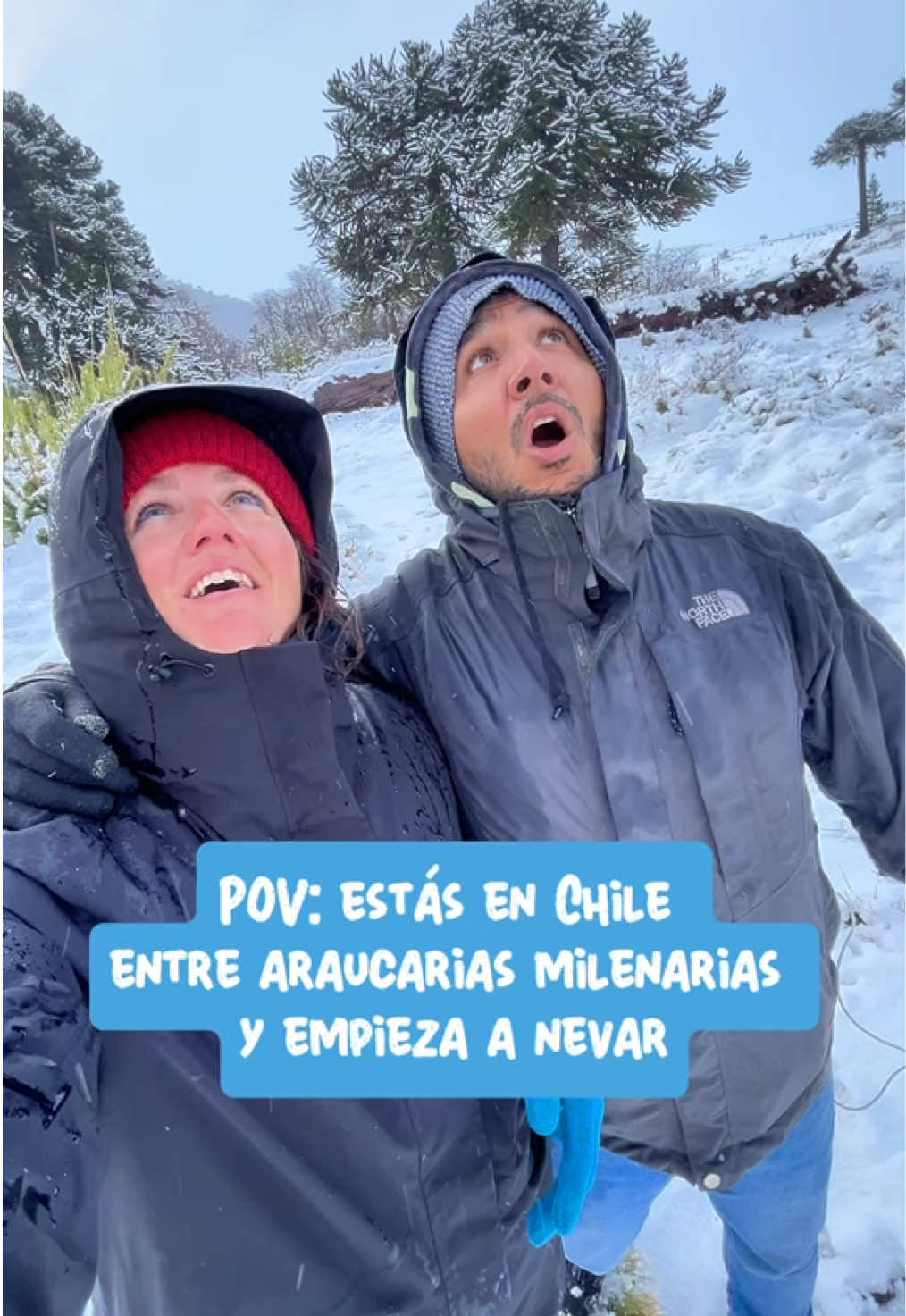 @unpalodevida