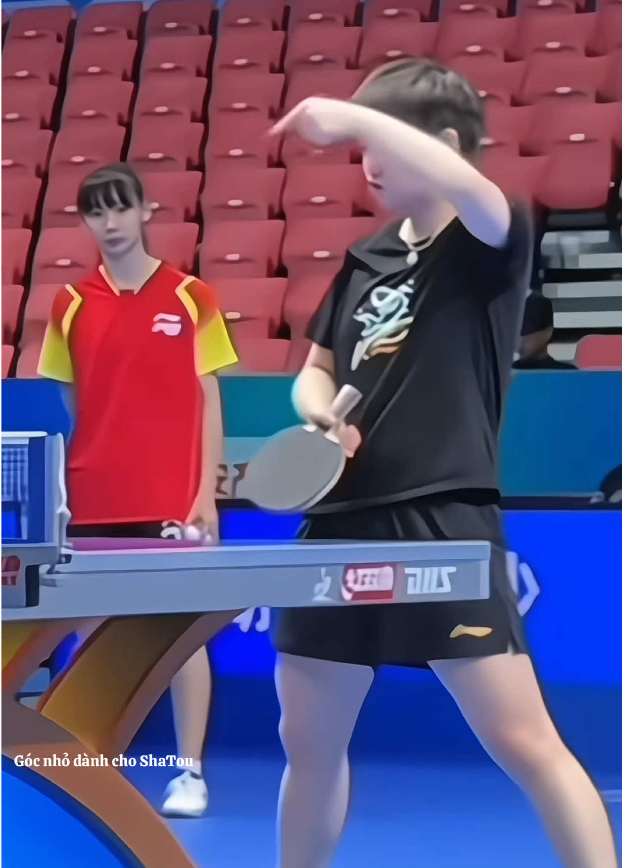 @Góc nhỏ dành cho ShaTou🦁🦈❤️
