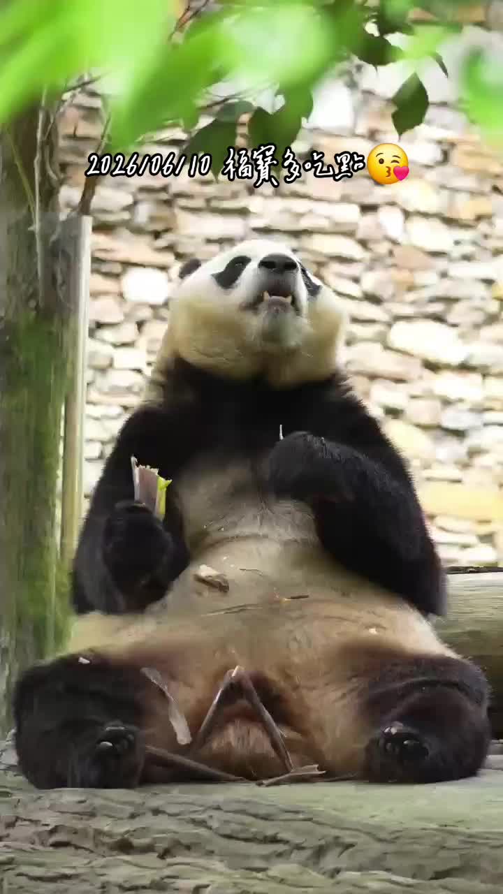 @福寶需要愛的抱抱