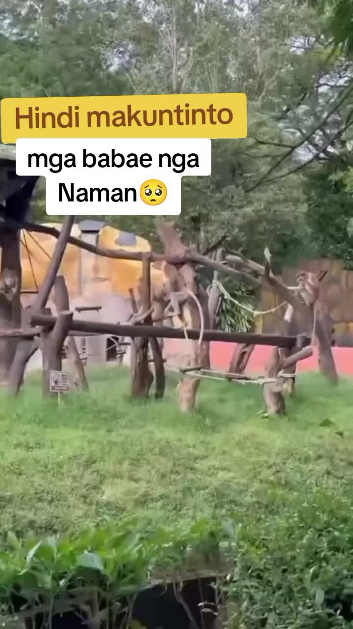 @🎶 single notes 🎶