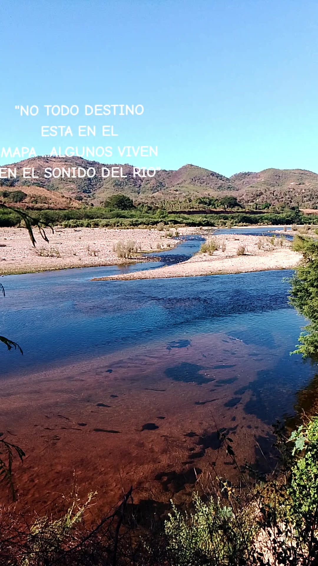 @Eliseo López