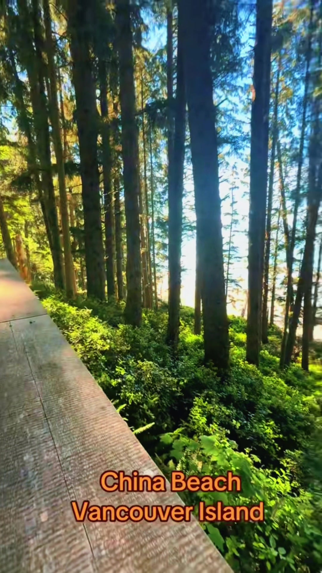 @Vancouver Island BC Canada