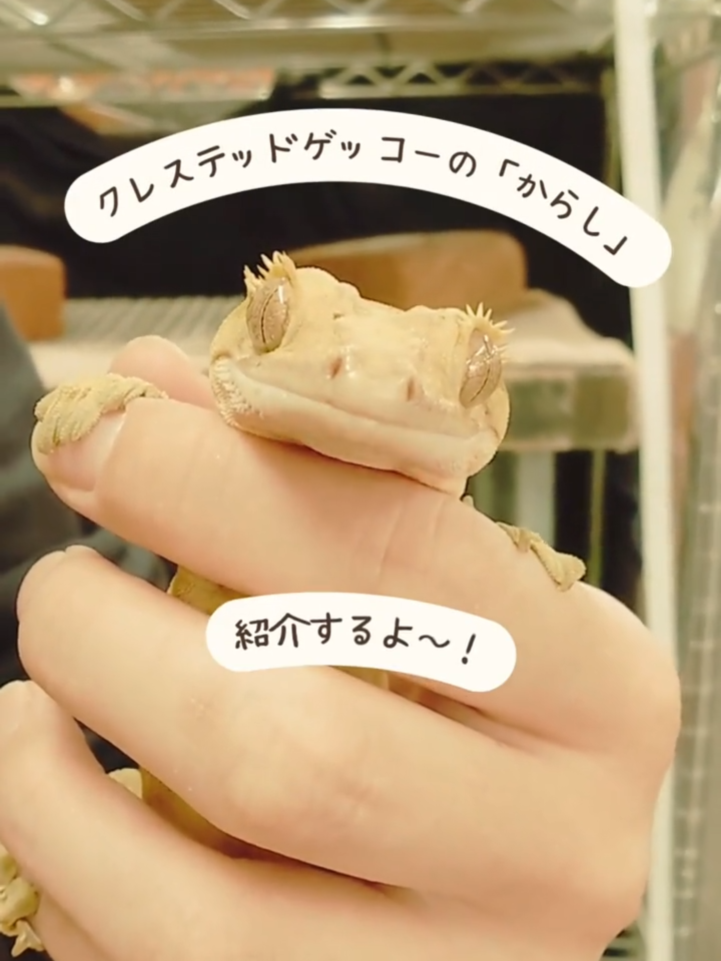 @TCA東京ECO動物海洋専門学校