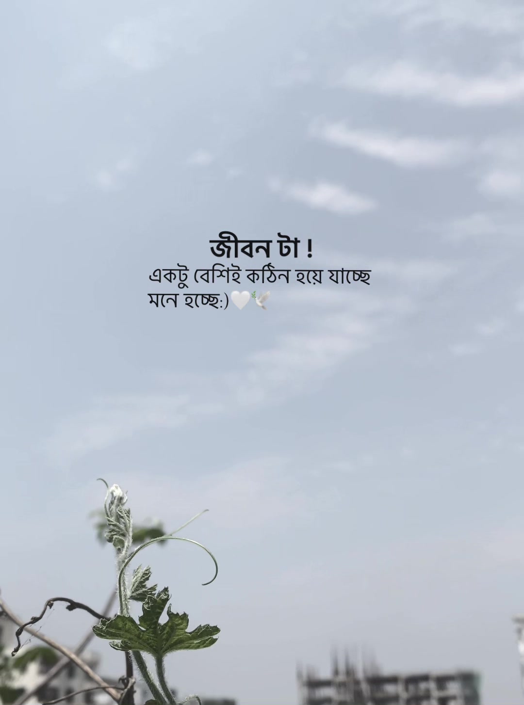 @কথা আছে:) 📌