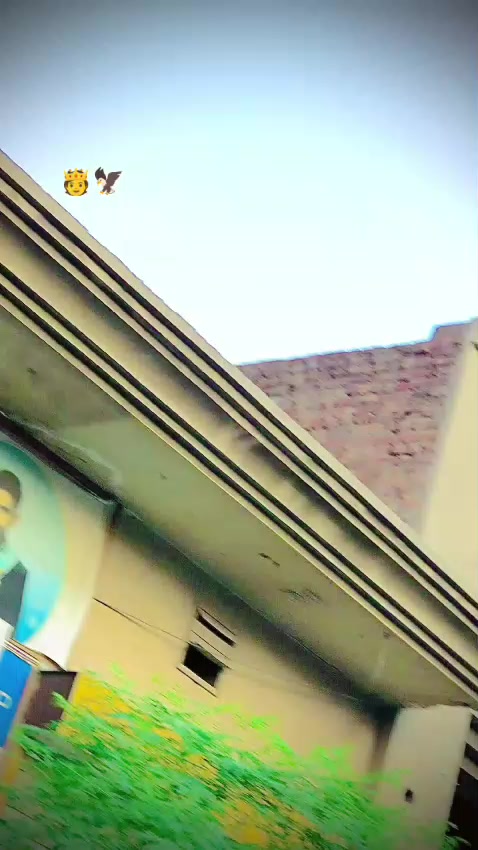 @Basharat007