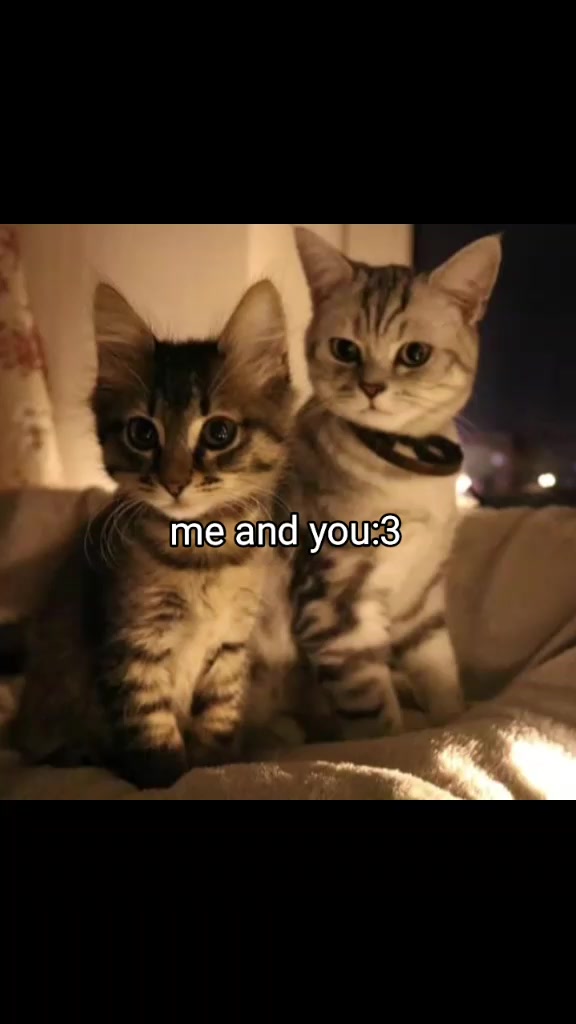 @кощик😛