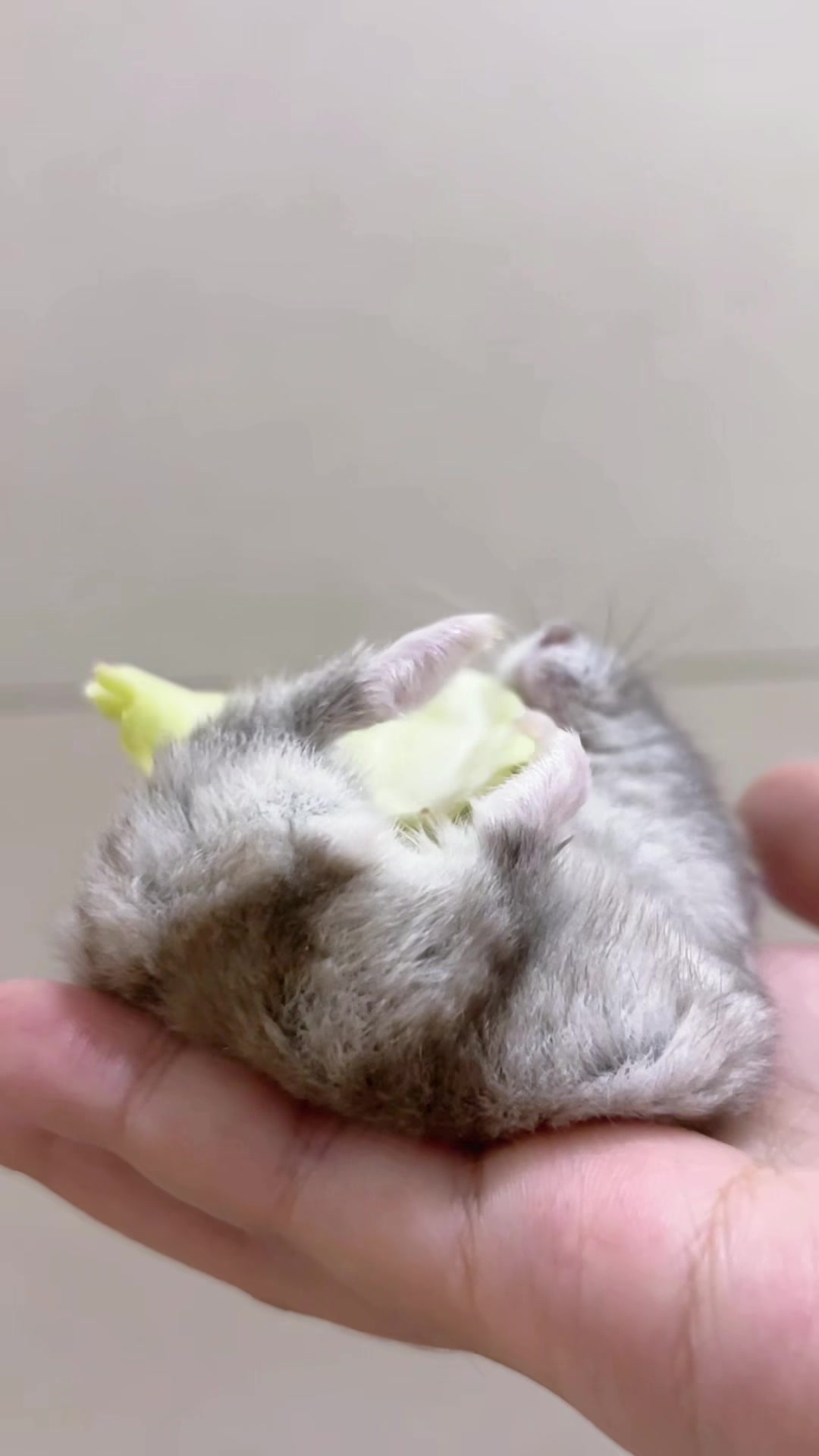 @𝒆𝒍𝒍𝒂✨