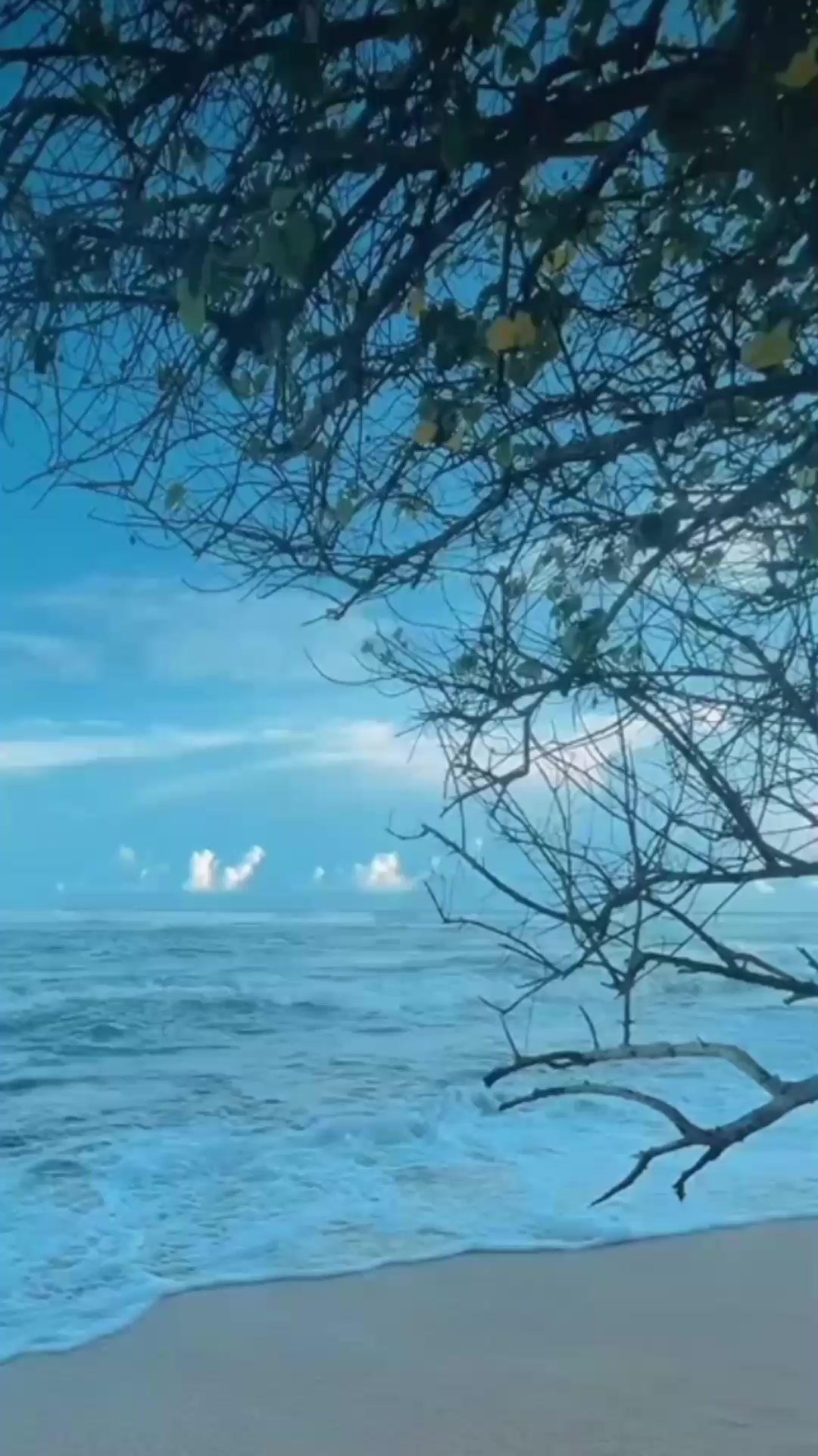 @𝑰'𝒕𝒔 𝑫𝒖𝒅𝒖 🤍❕