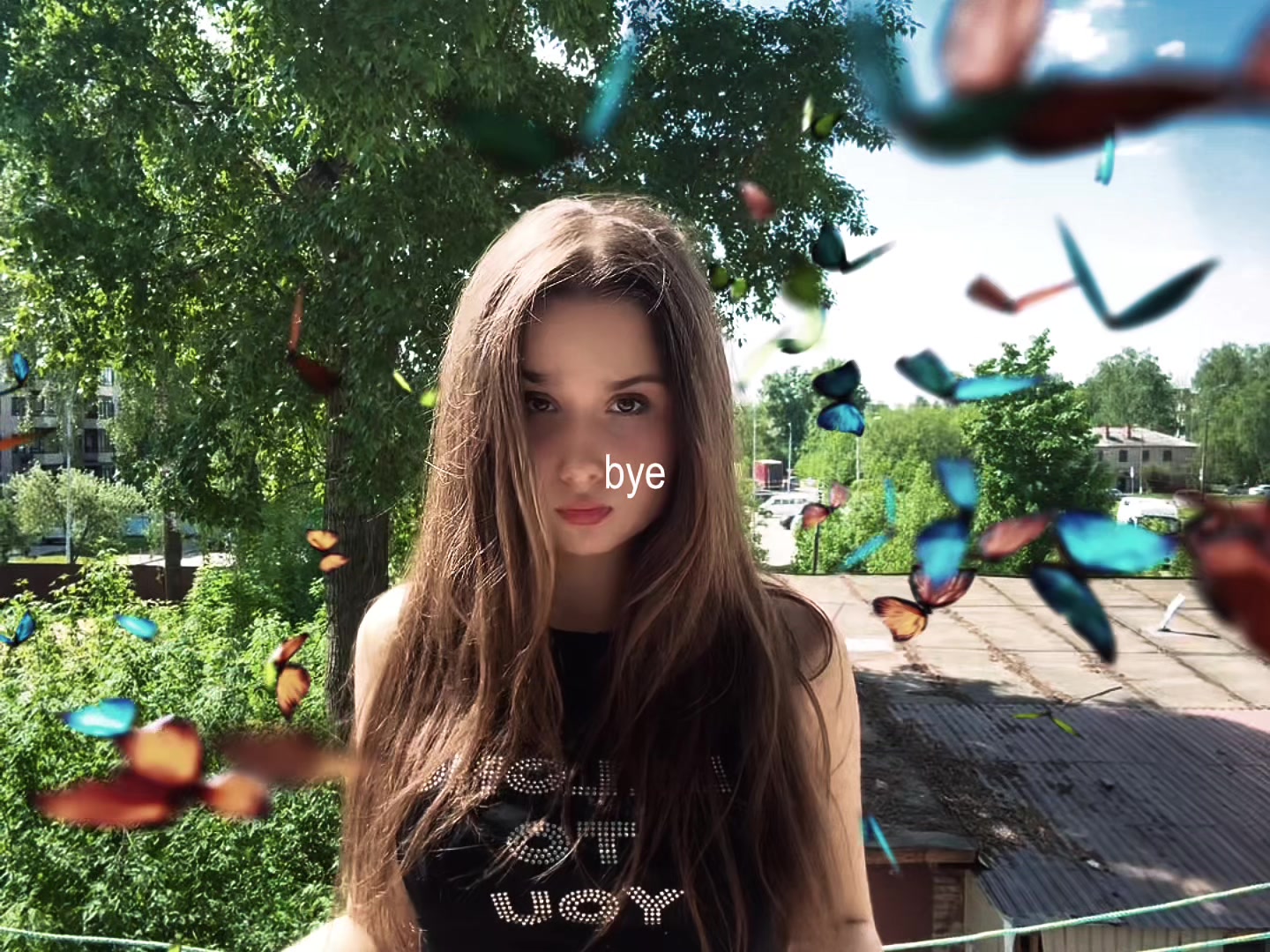 @sofkk