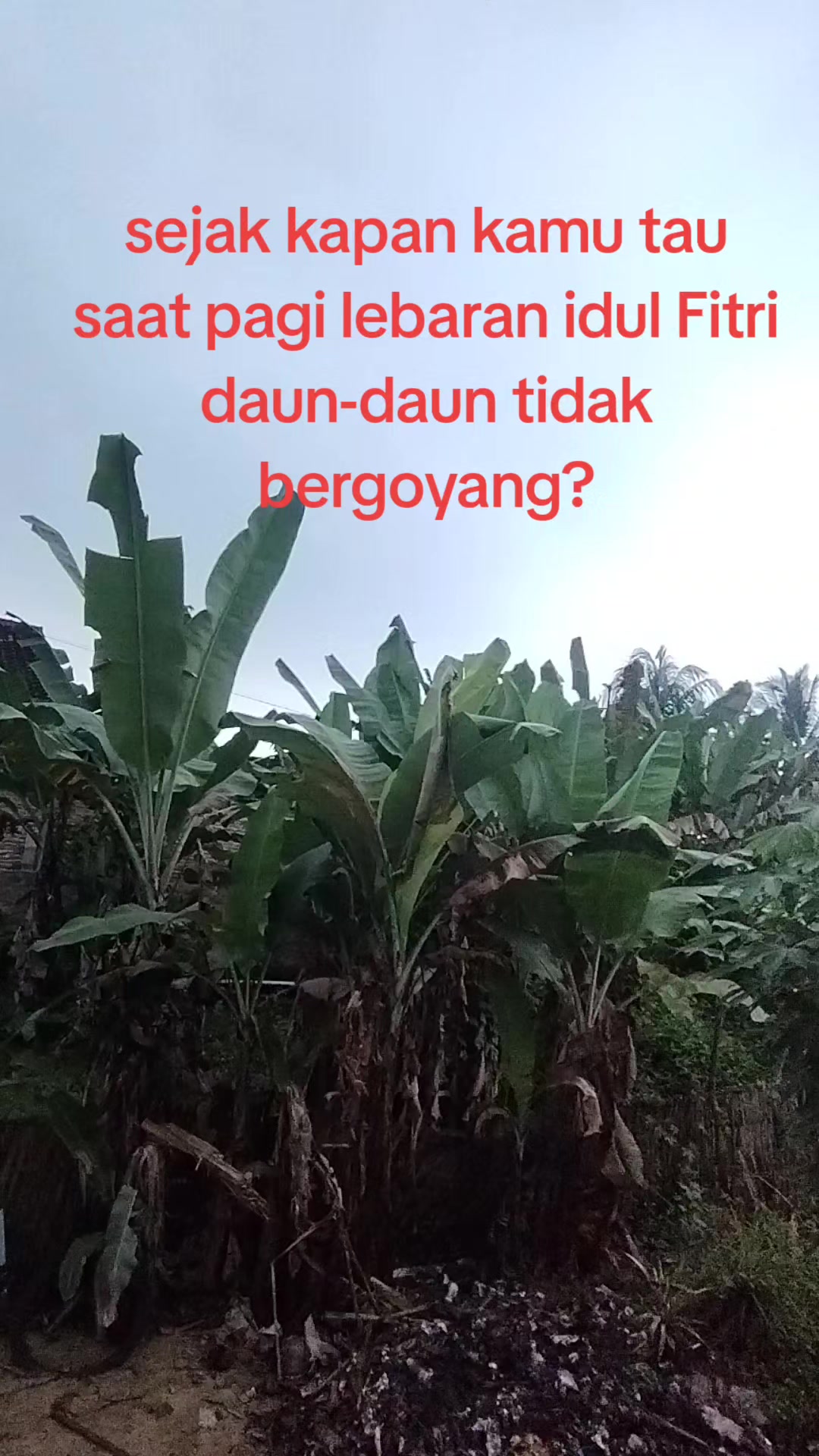 @tip(i)s