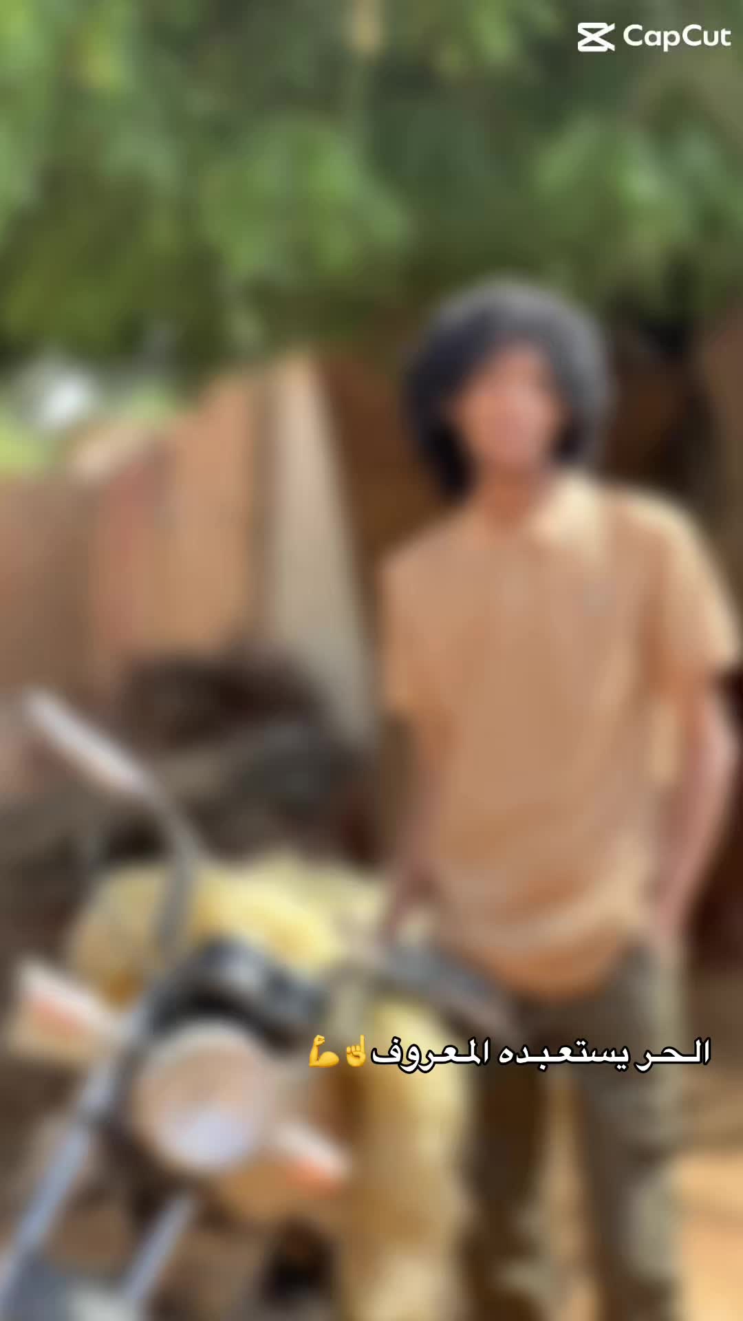 @خــــلـف✊✌