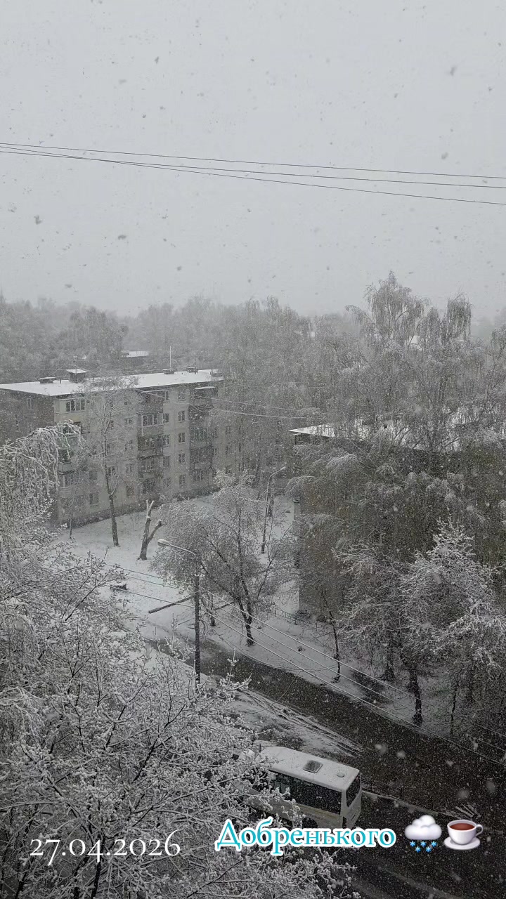 @Леночка🍓