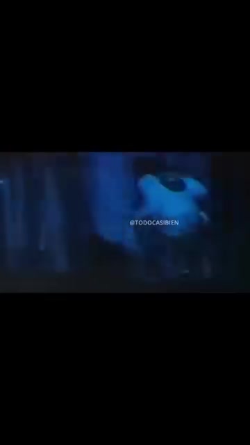 @โ๐๐๐๐โ