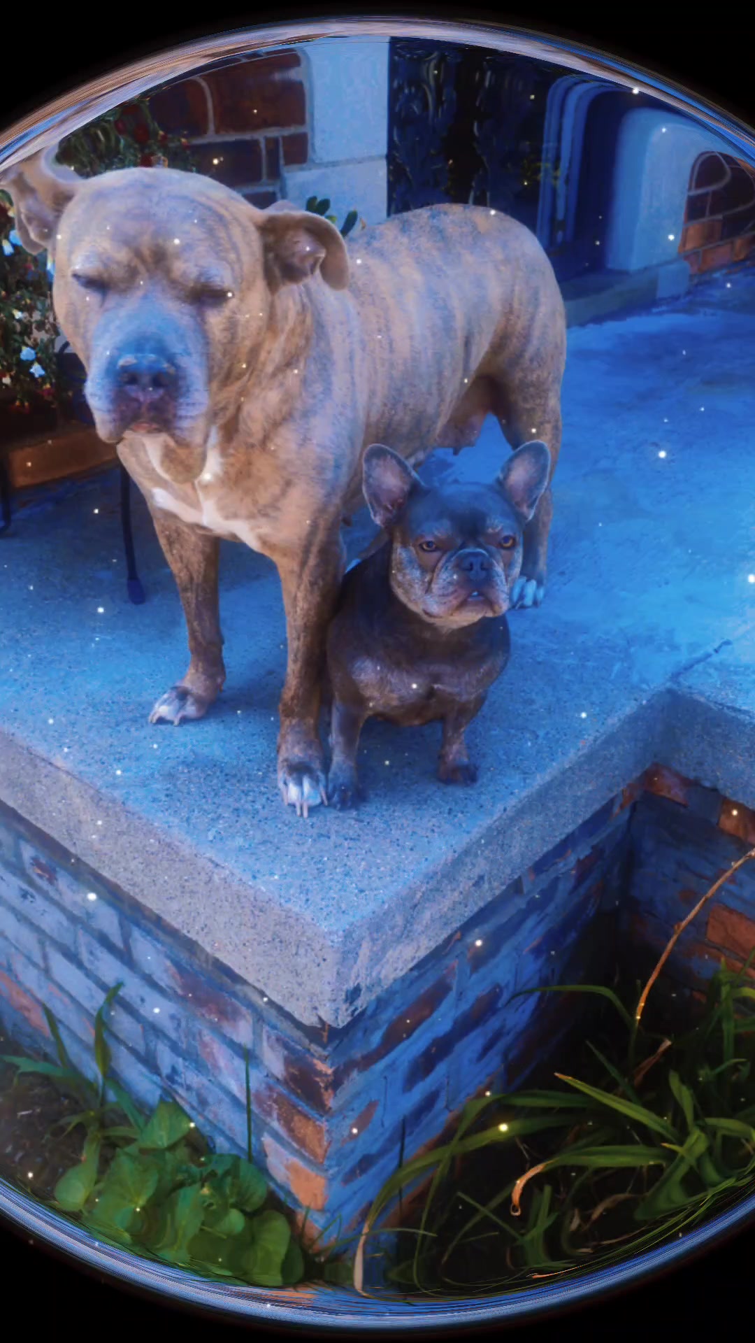 @Eric Blanks