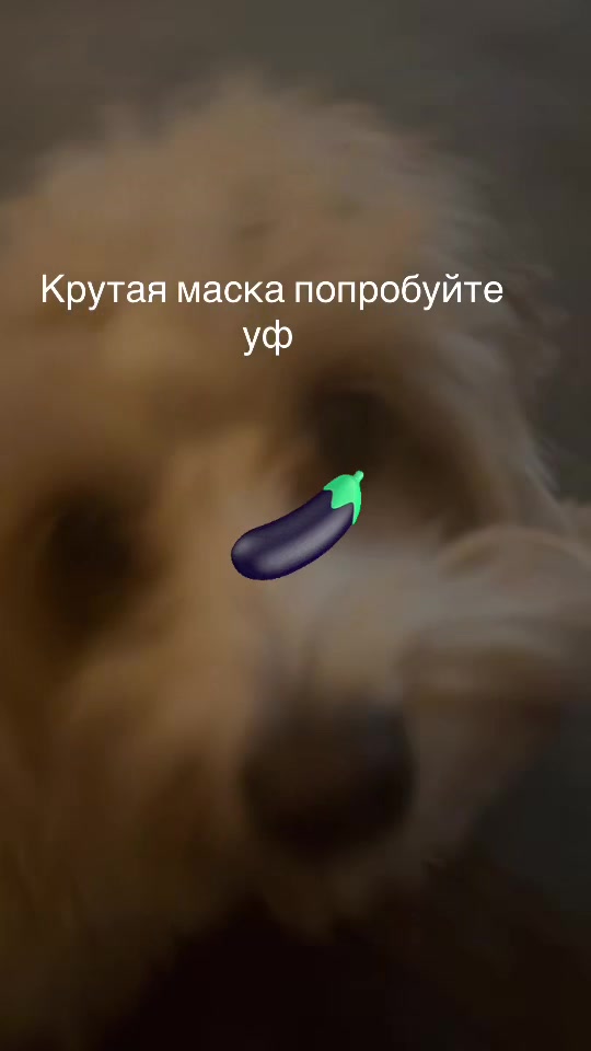 @atterrrrrrrrsggy