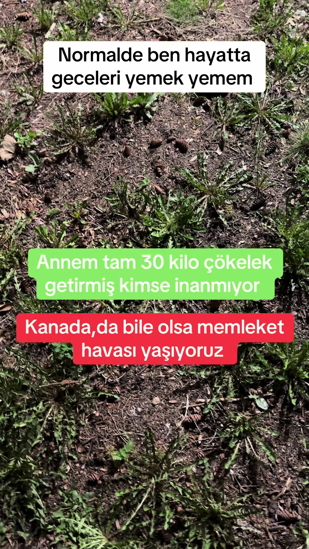 @KAPADOKYALI 🇹🇷CANADIAN🇨🇦
