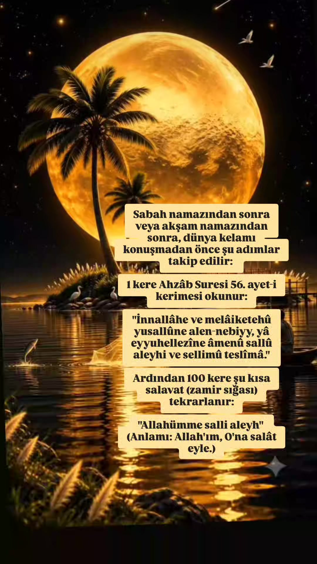 @hayat nereye gidiyor