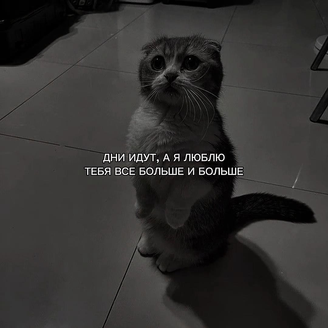@ХХИКА
