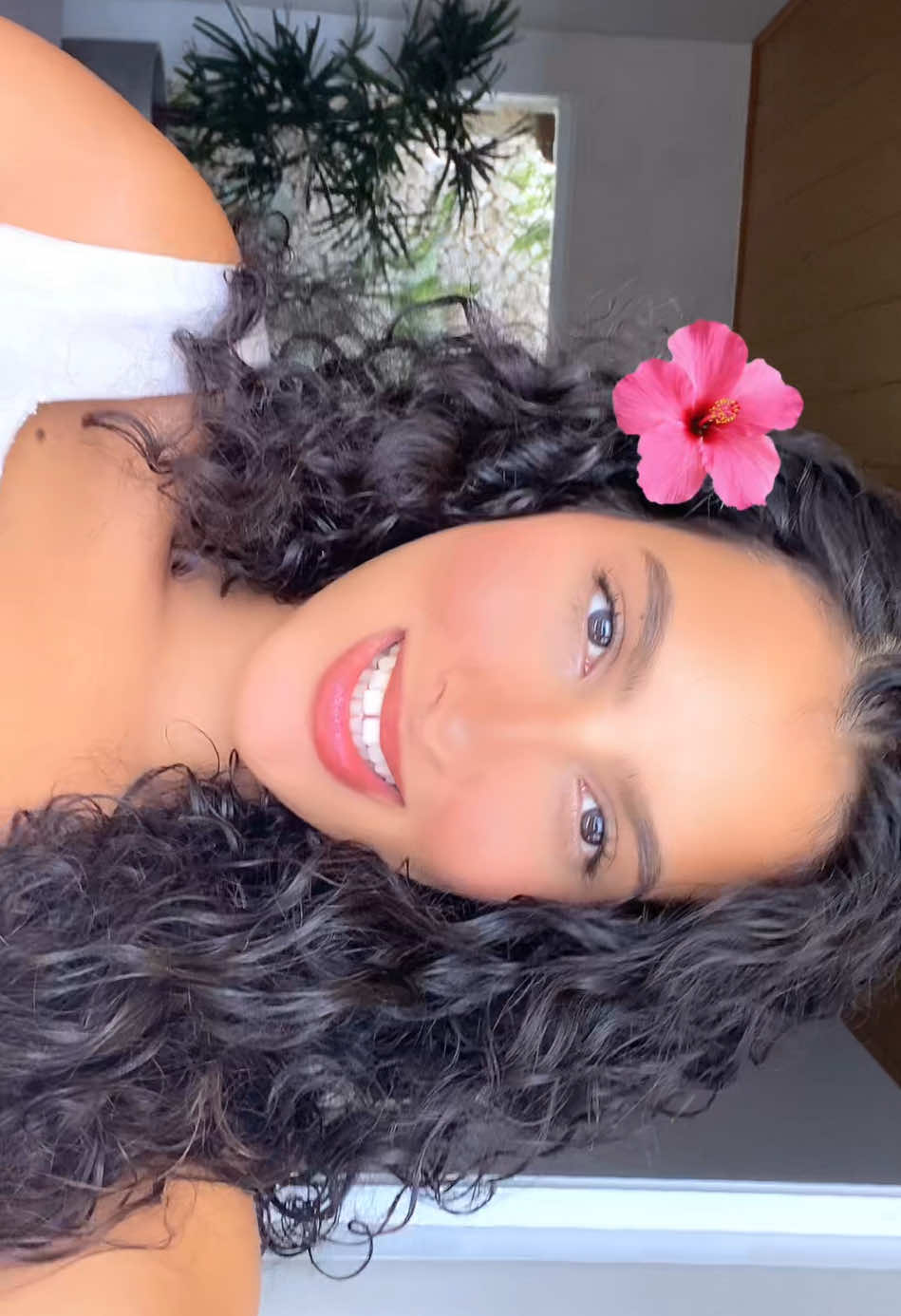 @elysa araujo