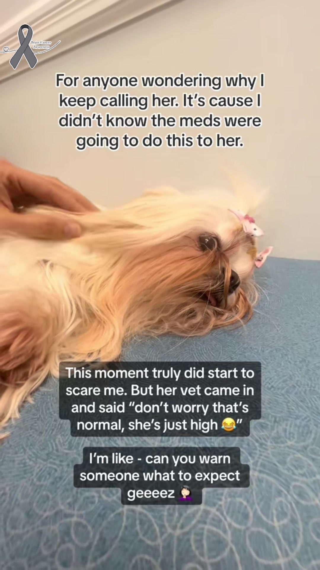 @BelDotLey